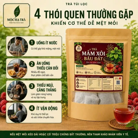 COMBO 4 Trà Mâm Xôi Bầu Đất 100% Thiên Nhiên Giảm Mệt Mỏi Thư Giãn Túi 30 Túi Lọc x 3g Thích Hợp Uống Mỗi Ngày Tạo Thói