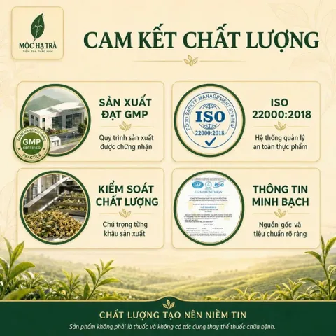 COMBO 4 Trà Mâm Xôi Bầu Đất 100% Thiên Nhiên Giảm Mệt Mỏi Thư Giãn Túi 30 Túi Lọc x 3g Thích Hợp Uống Mỗi Ngày Tạo Thói