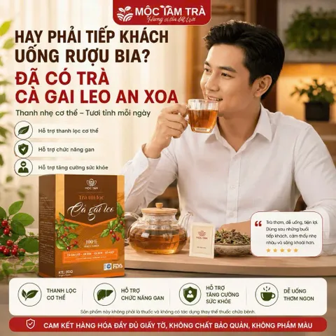 combo 3 Trà Túi Lọc Cà Gai Leo An Xoa Mộc Tâm 30 Gói x 3g – Thảo Mộc Dễ Uống, Tiện Lợi Mỗi Ngày