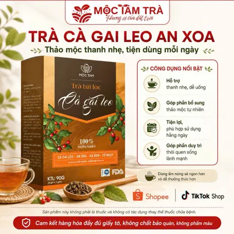 combo 3 Trà Túi Lọc Cà Gai Leo An Xoa Mộc Tâm 30 Gói x 3g – Thảo Mộc Dễ Uống, Tiện Lợi Mỗi Ngày