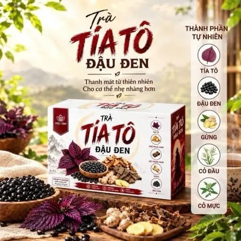 combo 3 Trà Tía Tô Đậu Đen Mộc Tâm hỗ trợ làm ấm bụng, giảm đầy hơi, khó tiêu (hộp 30 túi lọc x 3g) 847856