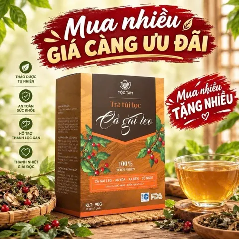 combo 4 Trà Túi Lọc Cà Gai Leo An Xoa Mộc Tâm 30 Gói x 3g – Thảo Mộc Dễ Uống, Tiện Lợi Mỗi Ngày 847858