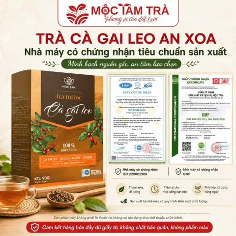 combo 4 Trà Túi Lọc Cà Gai Leo An Xoa Mộc Tâm 30 Gói x 3g – Thảo Mộc Dễ Uống, Tiện Lợi Mỗi Ngày 847858