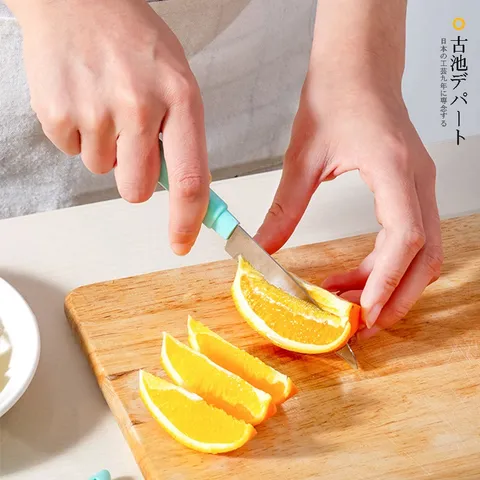 Dao gọt trái cây Nhật Bản bằng thép không gỉ cao cấp có nắp đậy mang đi du lịch tiện lợi