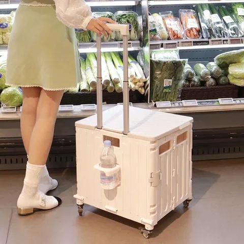 Xe Đẩy Mua Sắm Có Thể Gấp Gọn Xe Kéo Hàng Chở Đồ Siêu Thị Nhựa Xe Đẩy Vận Chuyển Hàng Hóa