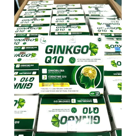 Ginkgo Q10 hoạt huyết dưỡng não đau đầu chóng mặt tăng cường lưu thông máu đau đầu chóng mặt tiền đình