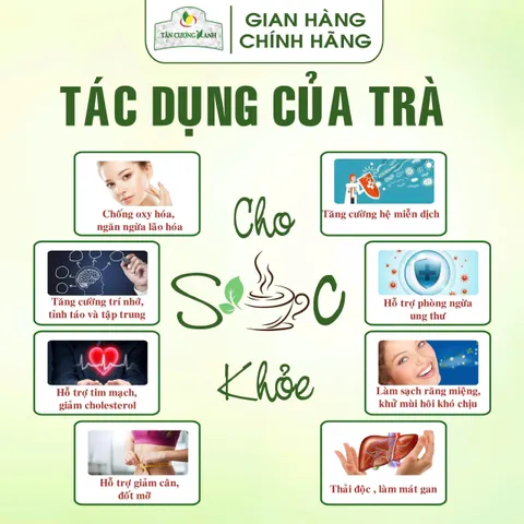 Trà Túi Lọc Xanh , Sen , Nhài - Bịch 100 gói Trà Sạch Tân Cương Xanh