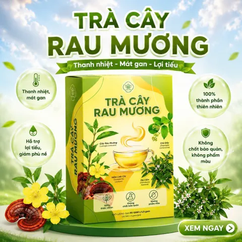Trà cây rau mương thảo mộc tự thiên –giúp thanh nhiệt giải độc, tốt cho tiêu hóa – Hộp 30 gói x 3g 850178