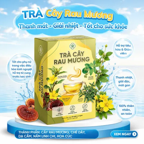 Trà cây rau mương thảo mộc tự thiên –giúp thanh nhiệt giải độc, tốt cho tiêu hóa – Hộp 30 gói x 3g 850178