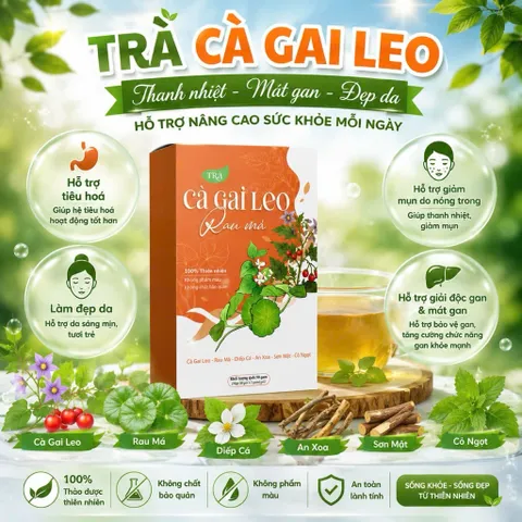 Trà Cà Gai Leo Rau Má Thanh Nhiệt Mát Gan – Hỗ Trợ Giải Độc Gan, Đẹp Da, Giảm Nóng Trong Hộp 30 Gói