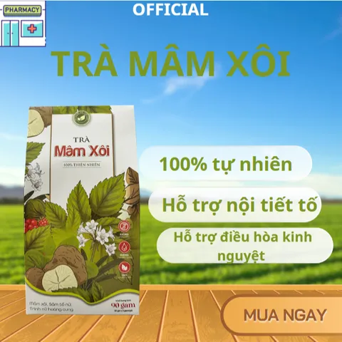 Trà Mâm Xôi Tứ Vị Túi Lọc Hộp 30 Gói   Mâm Xôi - Cỏ Ngọt - Cỏ Máu - Sâm Tố Nữ