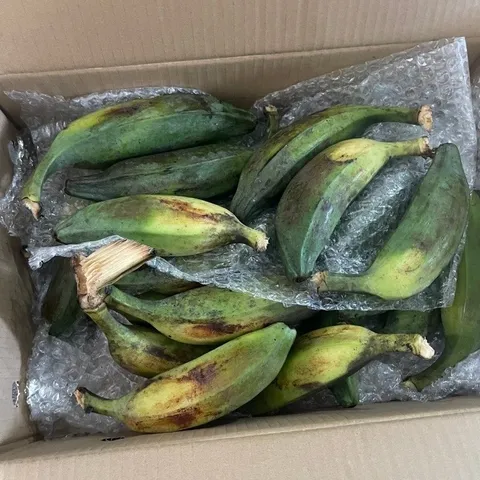3kg Chuối Hột Già Tươi, Nải Chuối Hột, Chuối Già, Nhận Hàng 3 - 7 Ngày Chín