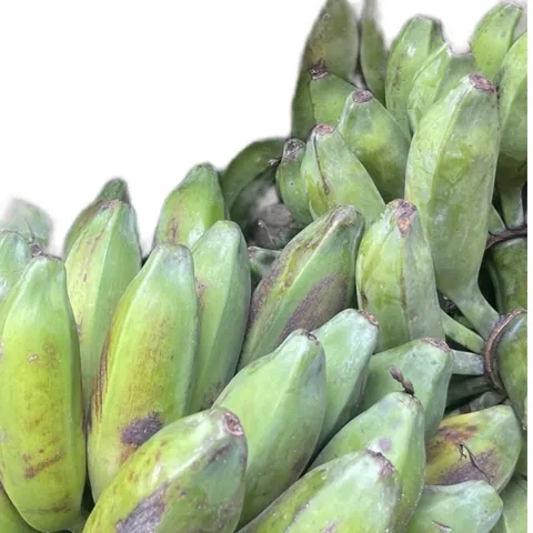 3kg Chuối Hột Già Tươi, Nải Chuối Hột, Chuối Già, Nhận Hàng 3 - 7 Ngày Chín