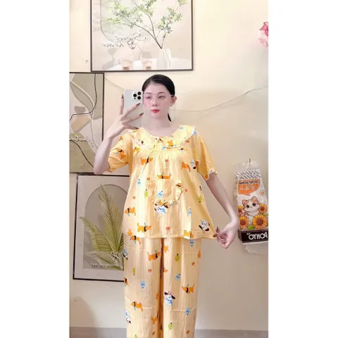 Đồ bộ tole nữ cổ lá sen mặc nhà đi chợ mát nhẹ dễ thương