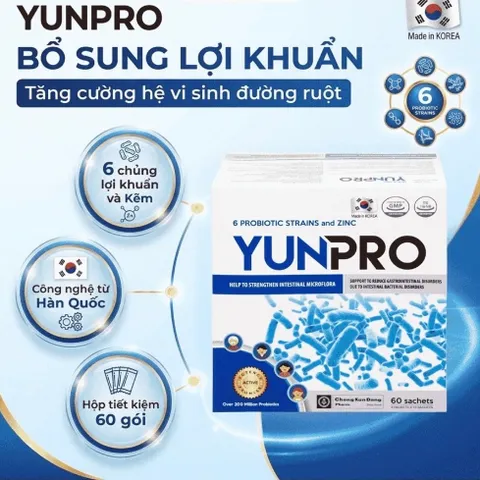 Men vi sinh Yunpro - Cân bằng vi sinh, bảo vệ hệ tiêu hoá Hộp 60 gói