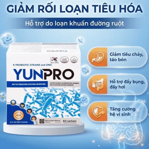 Men vi sinh Yunpro - Cân bằng vi sinh, bảo vệ hệ tiêu hoá Hộp 60 gói