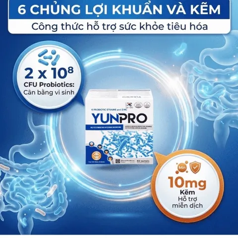 Men vi sinh Yunpro - Cân bằng vi sinh, bảo vệ hệ tiêu hoá Hộp 60 gói