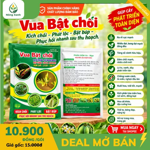 [NÔNG XANH ] Phân Bón Vua Bật Chồi 50g – Kích Rễ, Bật Chồi, Bung Đọt Mạnh, Lá Xanh Dày, Hỗ Trợ Ra Hoa Đậu Trái