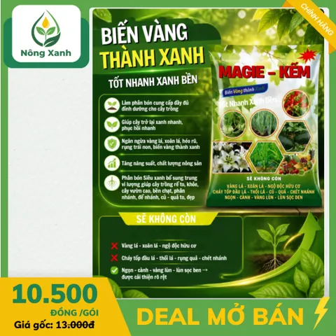 Nông Xanh Mall Phân Bón Siêu Magie Kẽm 50g – Xanh Lá Dày Lá, Bật Rễ Bung Đọt Bung Chồi, Hạn Chế Vàng Xoắn Lá – Combo