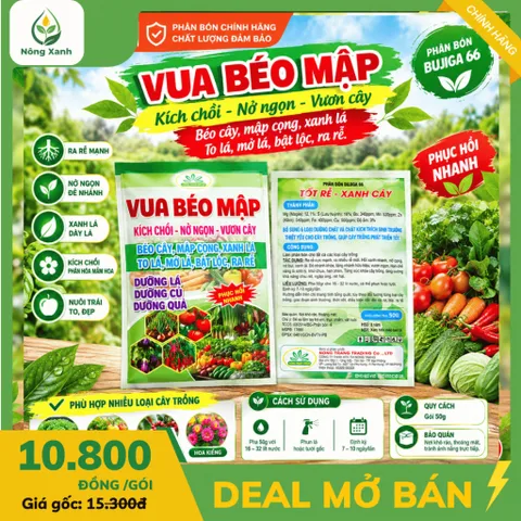 [NÔNG XANH] Phân bón lá Vua Béo Mập 50g – Phân Bón Kích Chồi, Nở Ngọn, Vươn Cây, Ra Rễ Mạnh, Xanh Lá, Dưỡng Lá Củ Quả