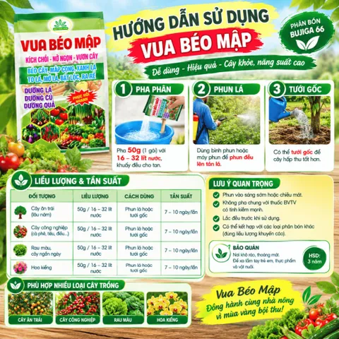 [NÔNG XANH] Phân bón lá Vua Béo Mập 50g – Phân Bón Kích Chồi, Nở Ngọn, Vươn Cây, Ra Rễ Mạnh, Xanh Lá, Dưỡng Lá Củ Quả