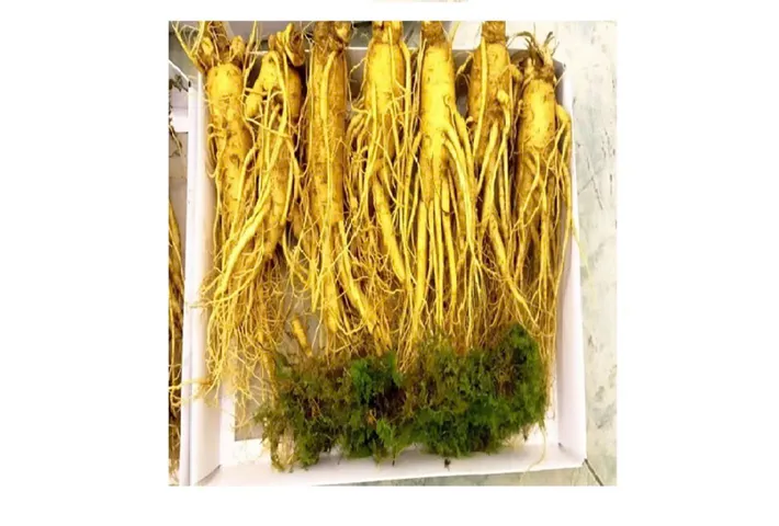 Sâm tươi 7 củ loại 1 - 1kg - Thực phẩm chức năng tăng cường sức khỏe, hỗ trợ miễn dịch tự nhiên.