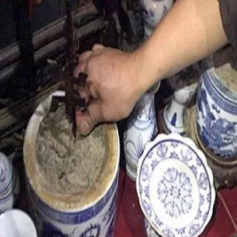 10 BỊCH Tro nếp bốc bát hương 100g đã sàng mịn 852180