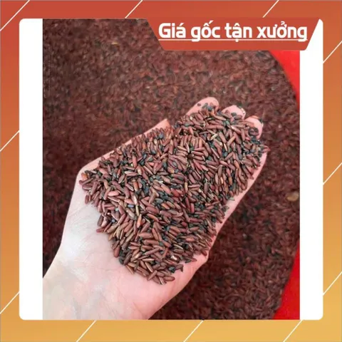 BỘT HẠT SEN- GẠO LỨT-MÈ ĐEN N.GUYÊN CHẤT(1kg/2 hộp) 852230