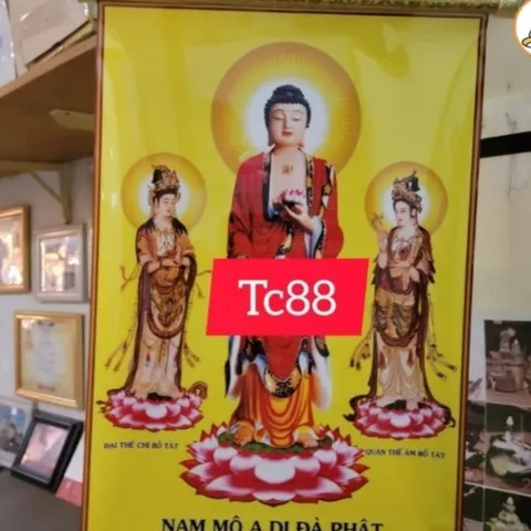 Tranh cuộn 40cm x 60cm hình đức phật Về ý nghĩa cuộc sống treo tường nẹp gỗ nhiều mẫu
