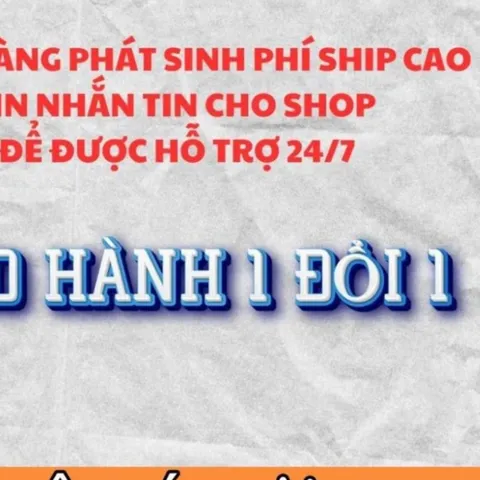 Tranh thờ - ĐỨC HUỲNH GIÁO CHỦ , có khung cực đẹp