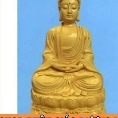 Tượng Phật Tổ Thích Ca A Di Đà Cỡ Lớn 30cm Dùng Thờ Cúng - Nhiều Màu cực đẹp