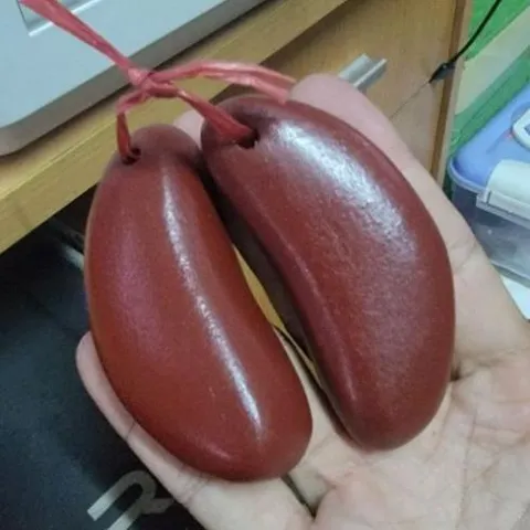 quẻ gỗ xin keo nâu có hoả tốc