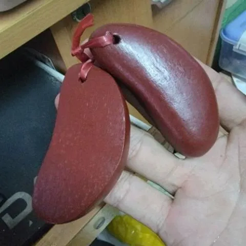 quẻ gỗ xin keo nâu có hoả tốc