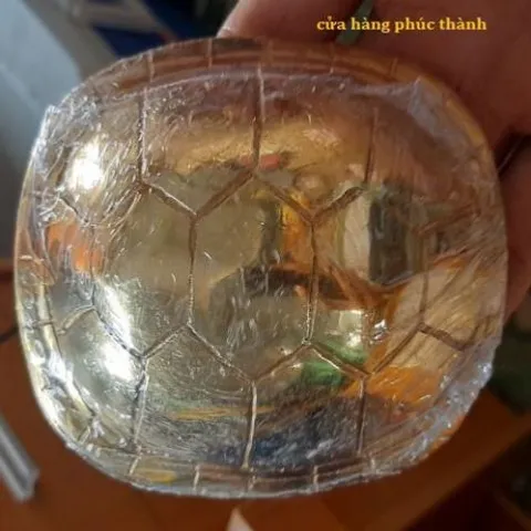 quẻ bói mai rùa vàng có hoả tốc