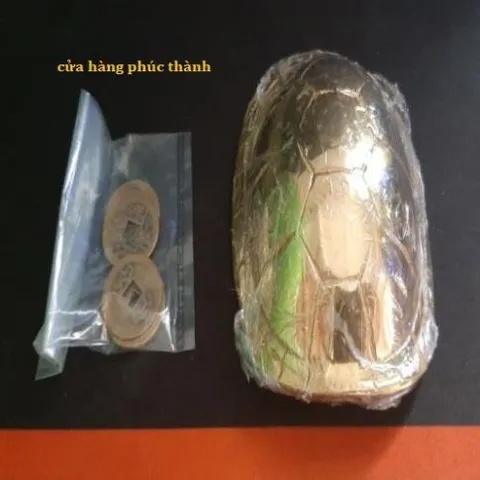 quẻ bói mai rùa vàng có hoả tốc