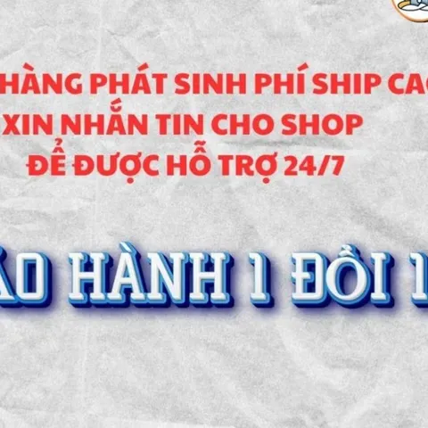 Tranh ÔNG HOÀNG MƯỜI - Có khung cực đẹp