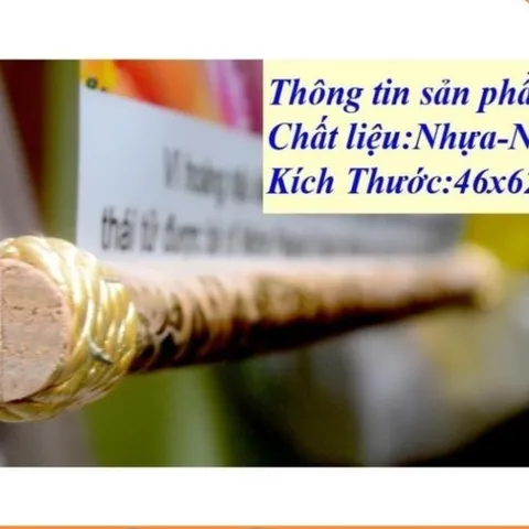 Tranh Phật Đản Sanh 40cm x 60cm siêu đẹp