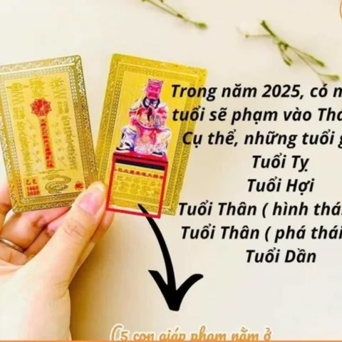 KIM BÀI THÁI TUẾ NĂM 2025 DÀNH CHO CÁC TUỔI TỴ - HỢI - DẦN -THÂN (KIM LOẠI VÀ NHỰA)