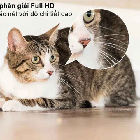 Robot Camera Enabot EBO SE Chính Hãng - Robot camera di chuyển 1080P - Trông trẻ, người già, thú cưng - Đàm thoại 2 chiề