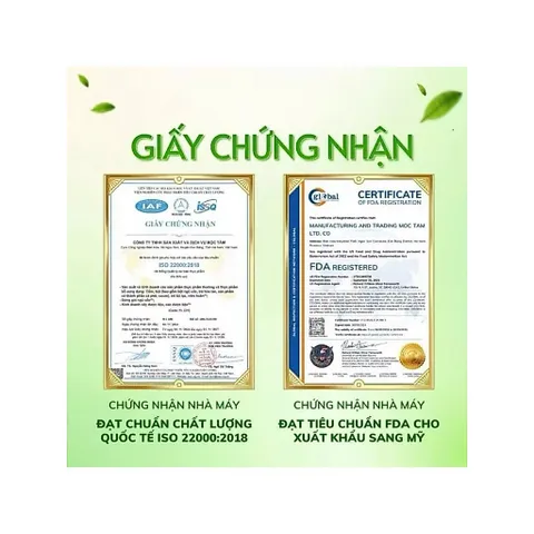combo 2 hộp trà kim tiền thảo râu mèo 854112