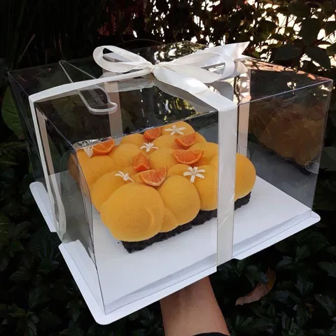 Hộp đựng bánh sinh nhật