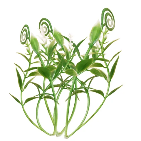 Cỏ điểm dùng để phối với hoa sáp, hoa lụa, hoa giấy