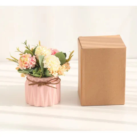 Chậu hoa cẩm chướng mini để bàn