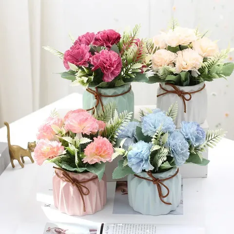 Chậu hoa cẩm chướng mini để bàn