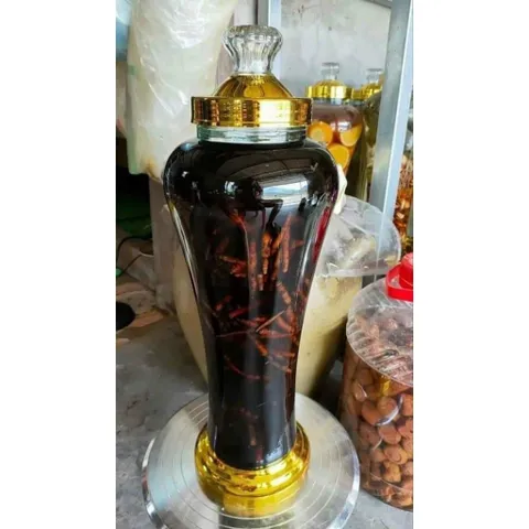 rễ sâm xuyên đá rừng thơm