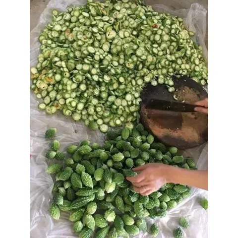 MƯỚP ĐẮNG KHÔ (KHỔ QUA)
