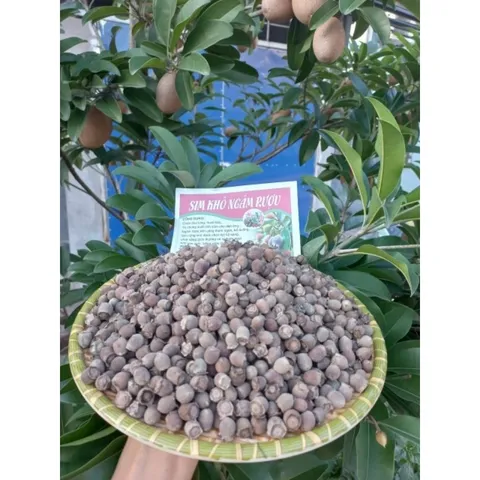 sim rừng khô tự nhiên loại 1