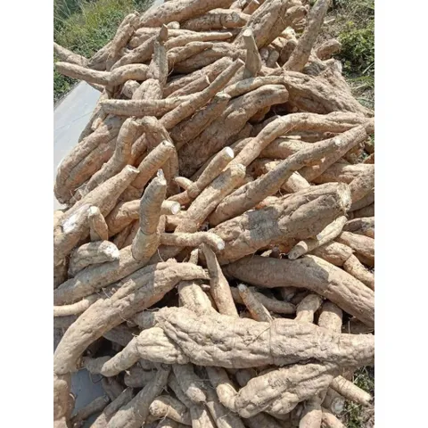 Bột Sắn Dây Quê Nguyên Chất