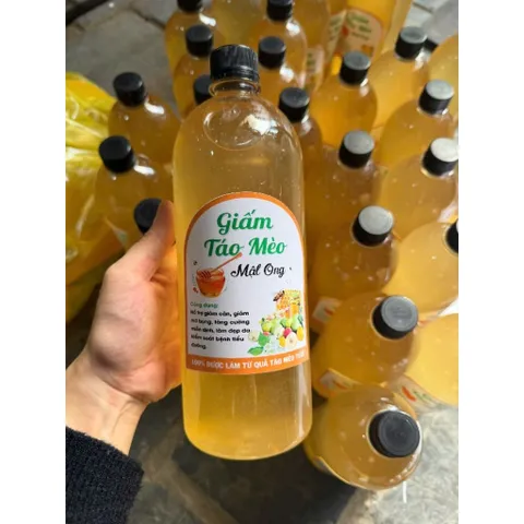 GIẤM TÁO MÈO RỪNG