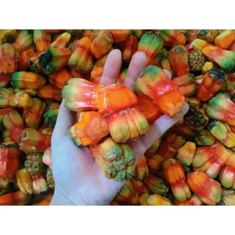 túi 1kg dứa dại rừng chín tách múi sẵn